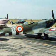 Spitfire